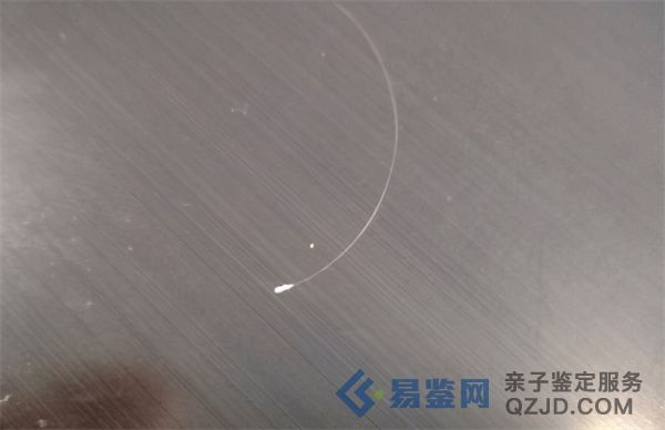 常州市毛发亲子鉴定的基本流程+费用价格（